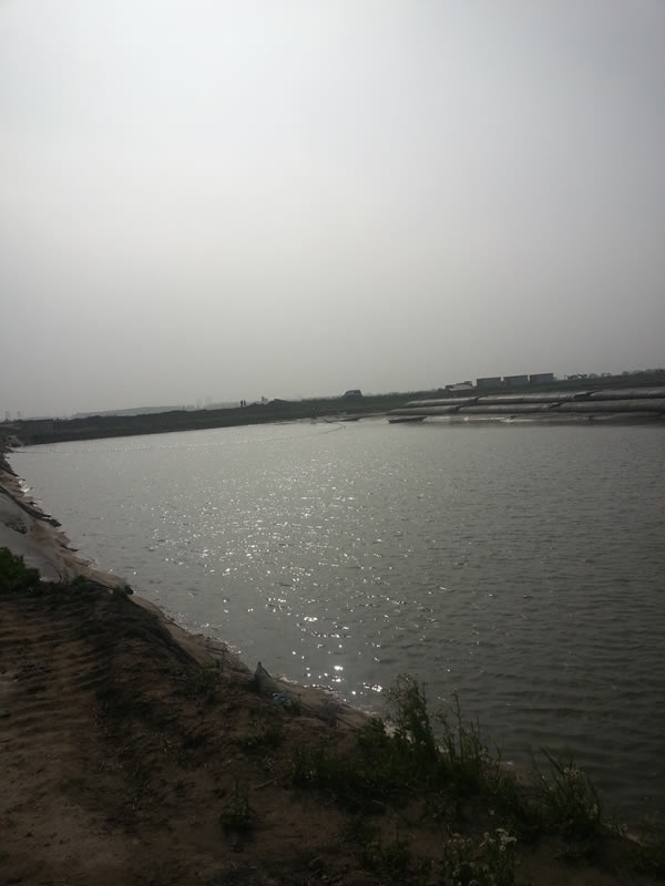 張家(jiā)港西(xī)水(shuǐ)道(dào)Ⅴ标順利推進